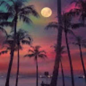 Meet your Posher, Ulises